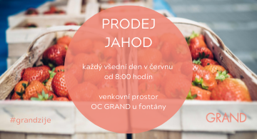 Prodej jahod u OC GRAND